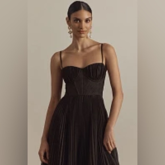 ANTHROPOLOGIE
Hutch Amara Corset Pleated Tulle Fit & Flare Midi Dress - Picture 4 of 9